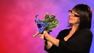 Folkmanis® Small Peacock Puppet Demo [upl. by Drusilla435]