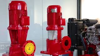 YeschampLong shaft pump [upl. by Ardet953]