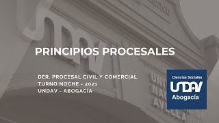 Principios procesales [upl. by Milinda]