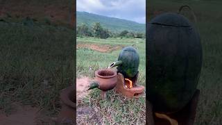 Survival Skills steam bad water in Watermeloncamping outdoors bushcraft survival [upl. by Negaet]