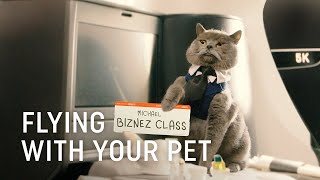 Flying with Your Pet  Turkish Airlines [upl. by Copeland]