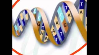 Genes DNA and Chromosomes explained [upl. by Nosidam]