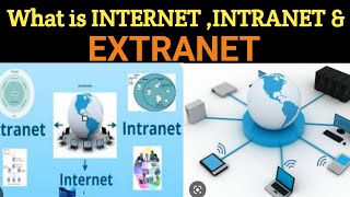 What is Internet Intranet amp Extranet full explanation in Hindi   IT WALA [upl. by Platt]