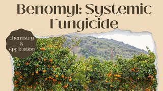 Understanding Benomyl A Comprehensive Overview of this Systemic Fungicide [upl. by Eatnahs]