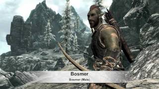 The Elder Scrolls V Skyrim  Rasy Skyrim The Races of Skyrim v2 [upl. by Eniamrahs]