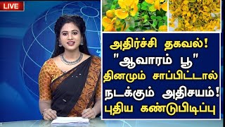 ஆவாரம் பூ புதிய அதிசய தகவல்  Health Benefits of Avaram Poo in Tamil  avarampoo Health Tips Tamil [upl. by Consuelo578]