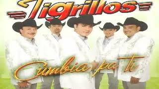 TIGRILLOS MIX 2 CUMBIAS [upl. by Ram]