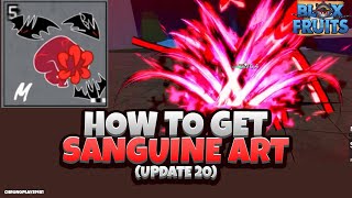 How to get Sanguine Art Full Guide Update 20 Blox Fruits [upl. by Niliak]