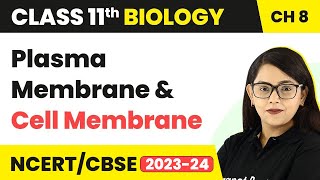 Plasma Membrane and Cell Membrane  Cell The Unit of Life  Class 11 Biology [upl. by Marcell]