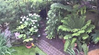 Exoten tuin in KeiemDiksmuide Exotic garden Belgium [upl. by Eenahpets959]