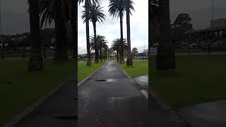 SPORTS RUGBY LEAGUE FROM REDFERN PARK iN SYDNEY NSW AUSTRALIA 01 [upl. by Gene312]