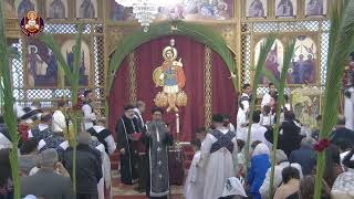 042824 The Divine Liturgy  Palm Sunday [upl. by Eph]