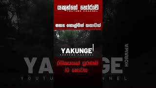 රචකයාගේ ඉරණම 10  sinhala holman katha සිංහල holman හොල්මන් horror horrorfan horrormovie [upl. by Arihk]