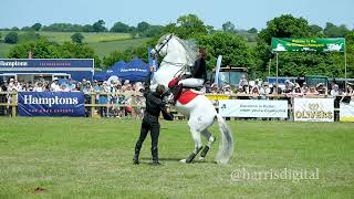 Atkinson Sports Horses captured in slow motion at the Herts County Show 2023 [upl. by Neral]