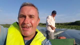 Power boating on the Danube delta Romania [upl. by Kreda120]