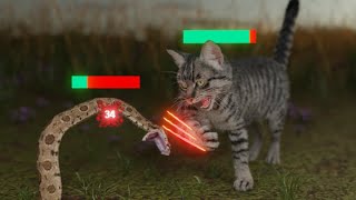 How Cats Broke The Game [upl. by Zetta]