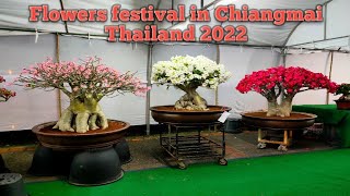 Flowers festival in Chiangmai Thailand 2022 [upl. by Sauer]