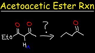 Acetoacetic Ester Synthesis Reaction Mechanism [upl. by Eeniffar935]