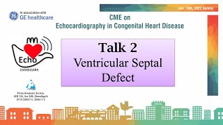 Talk 2  Ventricular Septal Defect Size and Place Matter [upl. by Mignonne]