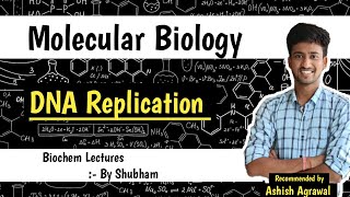 DNA Replication  Molecular Biology  Biochemistry lectures [upl. by Airamat]