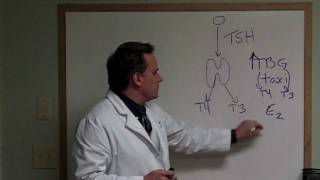 Avon CT Low Thyroid caused by elevated Thyroid Binding Globulin [upl. by Ennaj284]