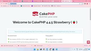 CakePHP 4  SpatieBrowsershot PDF Creation with Token Authentication [upl. by Kristina]