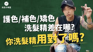 你洗髮精用對了嗎護色補色矯色洗髮精差在哪 l 《光在小學堂》 [upl. by Luahs]