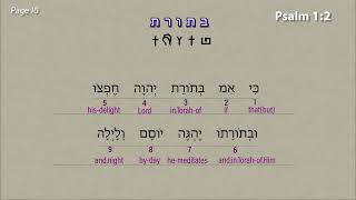 Psalm 1 Verse 1 and 2 together  Unveiling the true and pure eternal life in the Torah [upl. by Kozloski]