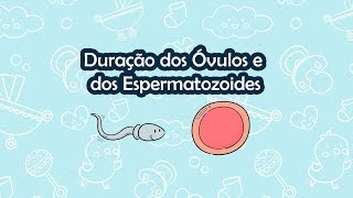 Duração dos Óvulos e dos Espermatozoides [upl. by Shellie]