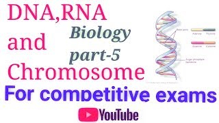 Biology DNA amp RNA डी एन ए और आर एन ए का संपूर्ण अध्ययन [upl. by Letsirk]