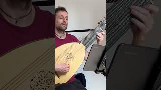 A few notes on my newborn instrument Archlute 14 courses lute shorts archlute [upl. by Netaf419]