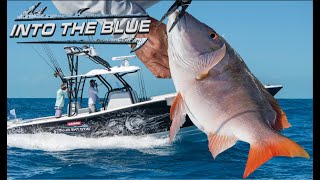 Bottom Fishing WRECKS off Hawks Cay  Florida Keys FISHING  Into the Blue Fishing [upl. by Eceinaj]