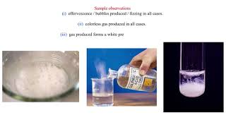 Reaction of metal carbonates and hydrogen carbonates with mineral acids [upl. by Eadas]