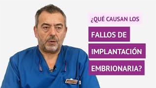 ¿Qué causan los fallos de implantación embrionaria [upl. by Gnirps]