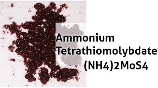 Ammonium Tetrathiomolybdate  Preparation [upl. by Lewes171]