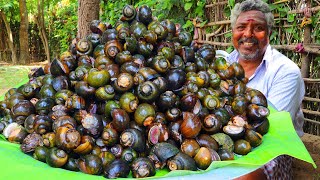 1000 SNAILS RECIPE  Healthy Snail Curry Recipe  Spicy Snails Cooking and Eating in Village [upl. by Lemal]