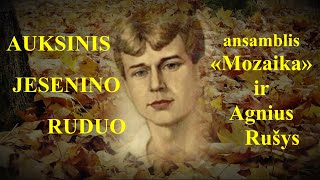 Romansų vakaras Alytuje «AUKSINIS JESENINO RUDUO» ansamblis quotMozaikaquot ir Agnius Rušys [upl. by Dawna]