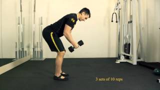 Bent Over Dumbbell Reverse Fly [upl. by Norah]