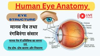 मानव नेत्र तथा रंग बिरंगा संसार  Human Eye physiology and Anatomy [upl. by Arraeis]