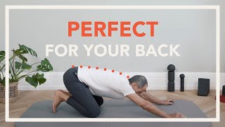 General Back Stretching Exercises Gentle Back Stretches [upl. by Any]