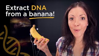 Extract DNA from a banana [upl. by Iht]