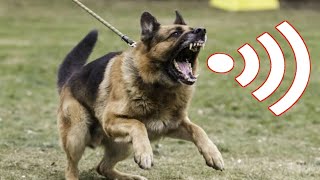 Dog Voice  Kutte Ki Awaaz  Dog Sounds Angry  ခွေးသံ  ခွေးအသံ  ခွေးဟောင်သံ [upl. by Les]