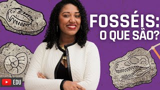 O que são Fósseis Tipos de Fossilização [upl. by Adnolat255]