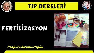 Embriyoloji Fertilizasyon ProfDrSerdar Akgün Serdar Akgün Tıp Videoları [upl. by Sidwel]