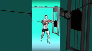 best exercise gym machine chest workout upper chest shorts viral trending chestworkout fitness [upl. by Phaidra]