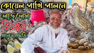 কোয়েল পাখি পালন কোয়েল পাখি পালন পদ্ধতি  koyel pakhi palon Qual bird farming in Bangladesh [upl. by Kathi502]