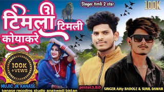 timli song 2024।। टिमली सॉन्ग 2024। Singer Sunil dawar and Ajay badole।। [upl. by Nwadrebma]