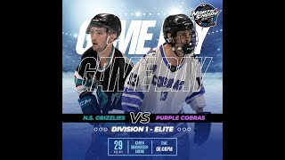 Div 1 Elite  Grizzlies vs Purple Cobras [upl. by Janaya]