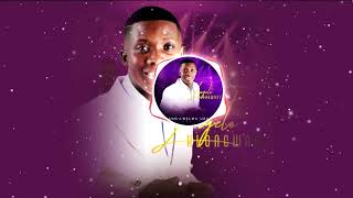 Lungelo Hlongwane  ENKAZIMULWENI  Audio Visualizer [upl. by Sukramal]