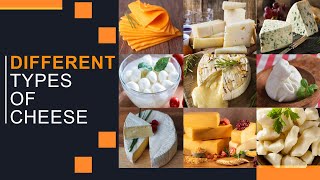 Different types of cheese [upl. by Idoux773]